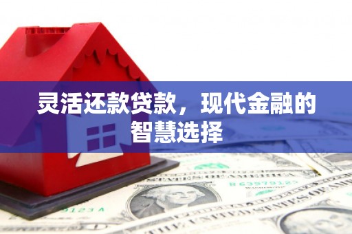 海盐灵活还款贷款，现代金融的智慧选择