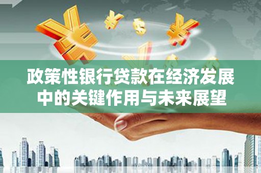 海盐政策性银行贷款在经济发展中的关键作用与未来展望