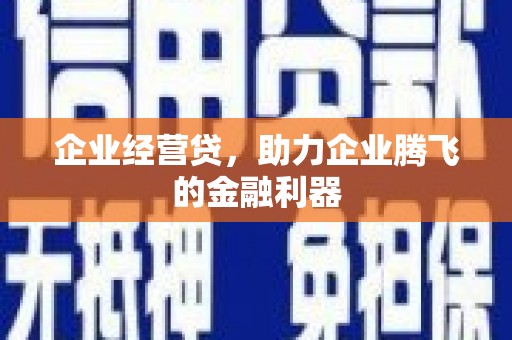 海盐企业经营贷，助力企业腾飞的金融利器