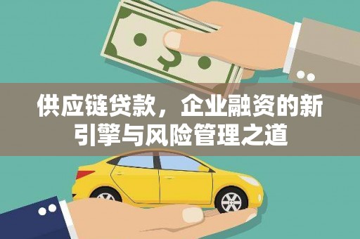 海盐供应链贷款，企业融资的新引擎与风险管理之道