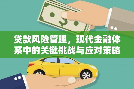 海盐贷款风险管理，现代金融体系中的关键挑战与应对策略