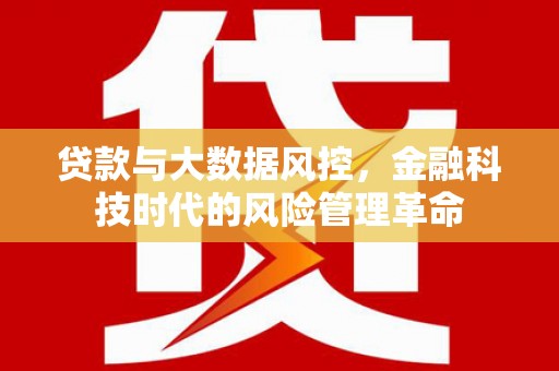 海盐贷款与大数据风控，金融科技时代的风险管理革命