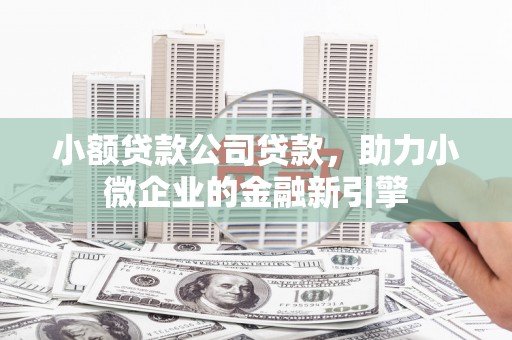 海盐小额贷款公司贷款，助力小微企业的金融新引擎