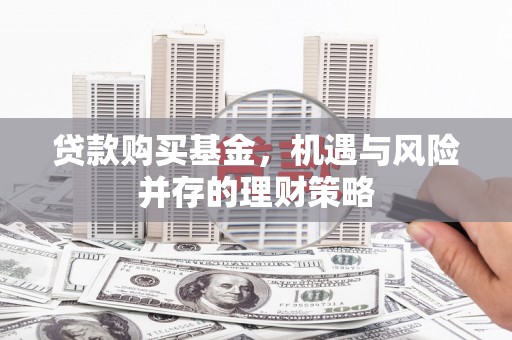 海盐贷款购买基金，机遇与风险并存的理财策略