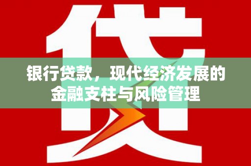 海盐银行贷款，现代经济发展的金融支柱与风险管理