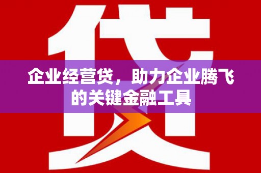 海盐企业经营贷，助力企业腾飞的关键金融工具