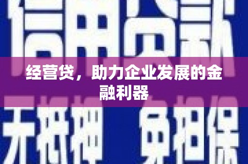海盐经营贷，助力企业发展的金融利器