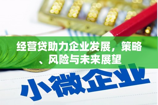 海盐经营贷助力企业发展，策略、风险与未来展望