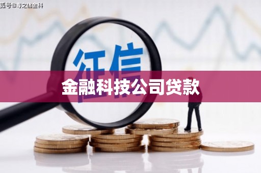 海盐金融科技公司贷款