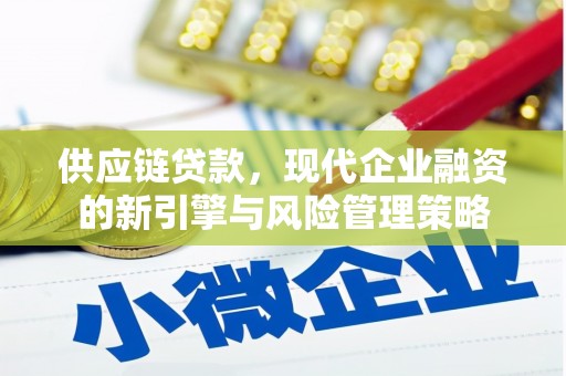 海盐供应链贷款，现代企业融资的新引擎与风险管理策略
