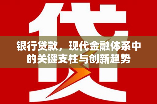 海盐银行贷款，现代金融体系中的关键支柱与创新趋势