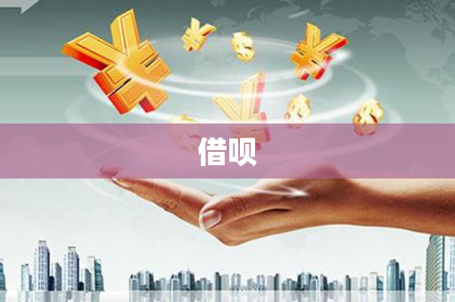 海盐借呗
