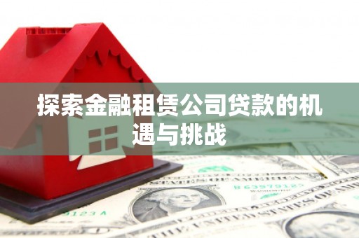 海盐探索金融租赁公司贷款的机遇与挑战