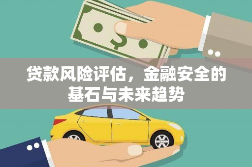 海盐贷款风险评估，金融安全的基石与未来趋势