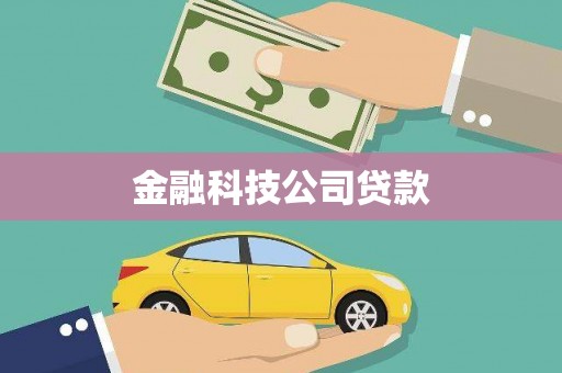 海盐金融科技公司贷款