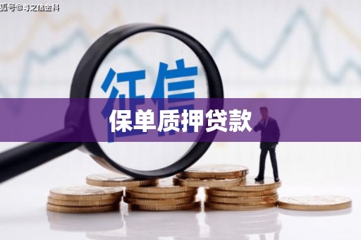 海盐保单质押贷款
