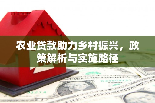 海盐农业贷款助力乡村振兴，政策解析与实施路径