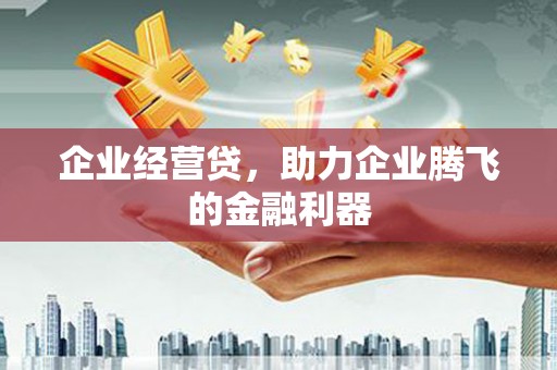 海盐企业经营贷，助力企业腾飞的金融利器