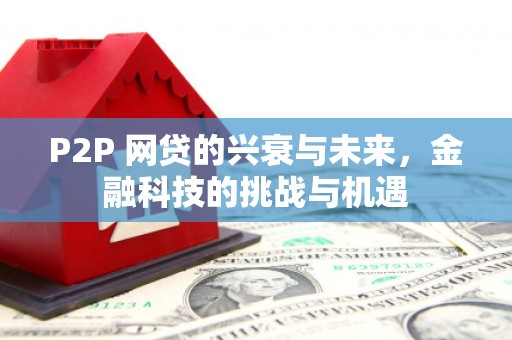 海盐P2P 网贷的兴衰与未来，金融科技的挑战与机遇