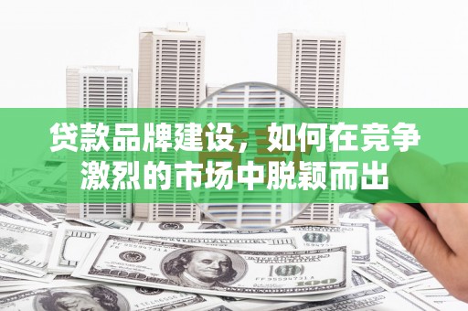 海盐贷款品牌建设，如何在竞争激烈的市场中脱颖而出