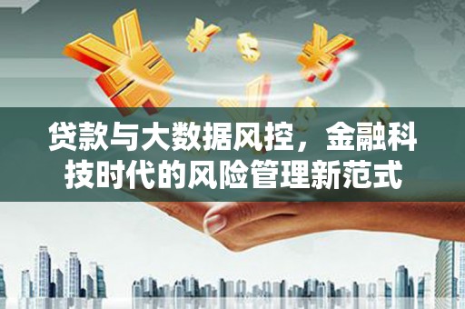 海盐贷款与大数据风控，金融科技时代的风险管理新范式