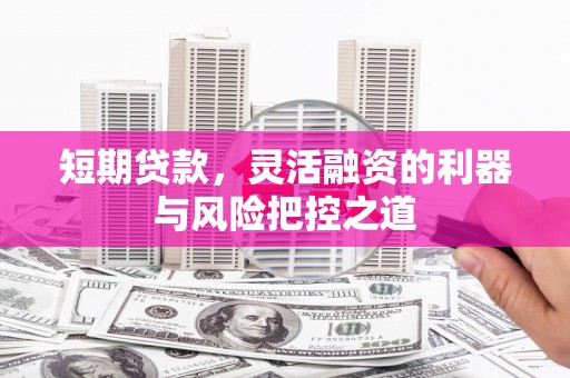 海盐短期贷款，灵活融资的利器与风险把控之道