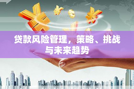 海盐贷款风险管理，策略、挑战与未来趋势