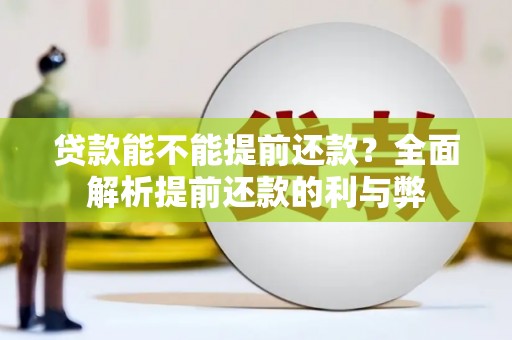 海盐贷款能不能提前还款？全面解析提前还款的利与弊