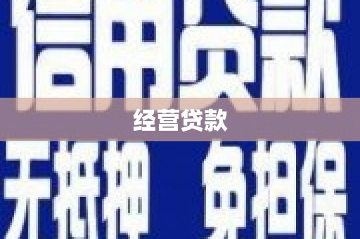 海盐经营贷款