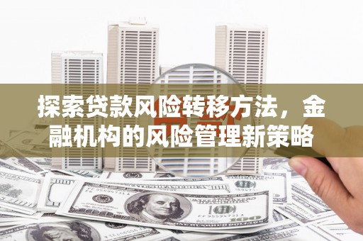 海盐探索贷款风险转移方法，金融机构的风险管理新策略