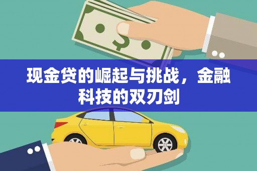 海盐现金贷的崛起与挑战，金融科技的双刃剑