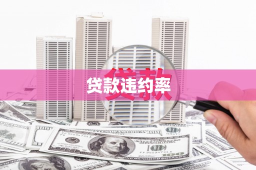 海盐贷款违约率