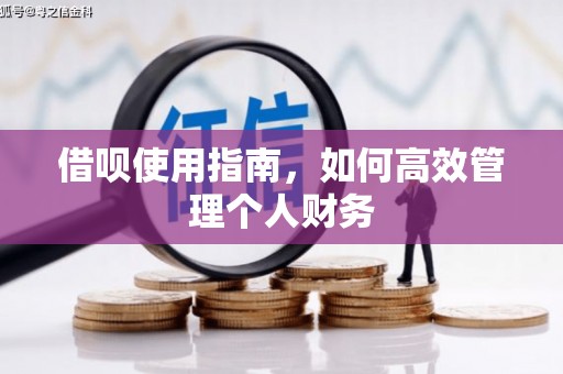 海盐借呗使用指南，如何高效管理个人财务