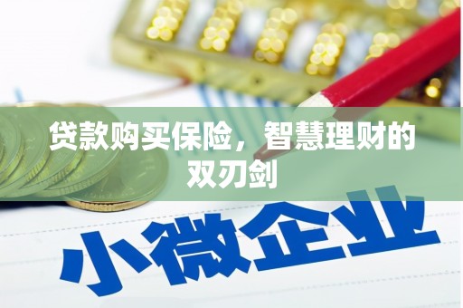 海盐贷款购买保险，智慧理财的双刃剑