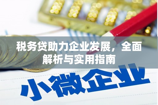 海盐税务贷助力企业发展，全面解析与实用指南