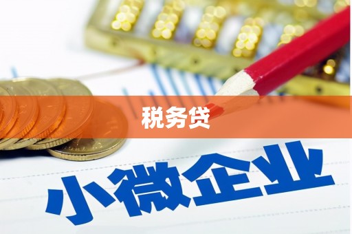 海盐税务贷