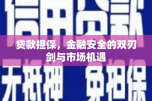 海盐贷款担保，金融安全的双刃剑与市场机遇