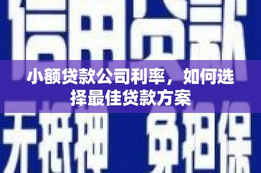 海盐小额贷款公司利率，如何选择最佳贷款方案