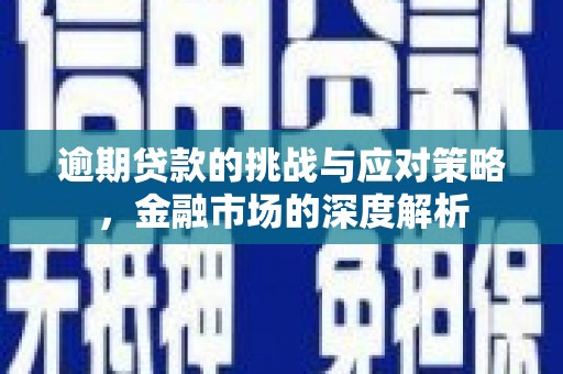 海盐逾期贷款的挑战与应对策略，金融市场的深度解析