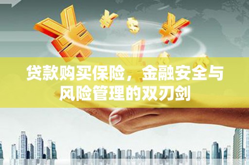 海盐贷款购买保险，金融安全与风险管理的双刃剑