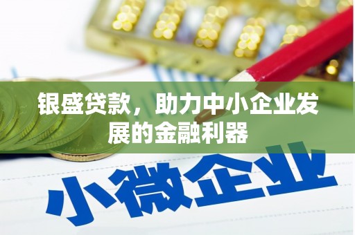 海盐银盛贷款，助力中小企业发展的金融利器