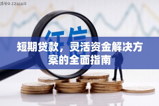 海盐短期贷款，灵活资金解决方案的全面指南