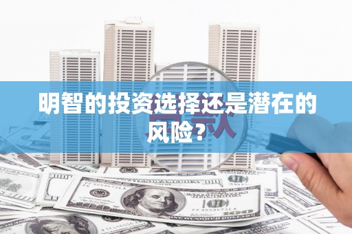 海盐明智的投资选择还是潜在的风险？