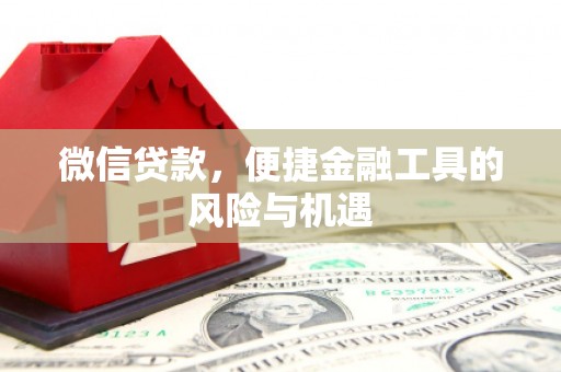 海盐微信贷款，便捷金融工具的风险与机遇