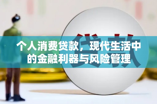 海盐个人消费贷款，现代生活中的金融利器与风险管理