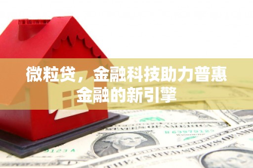 海盐微粒贷，金融科技助力普惠金融的新引擎