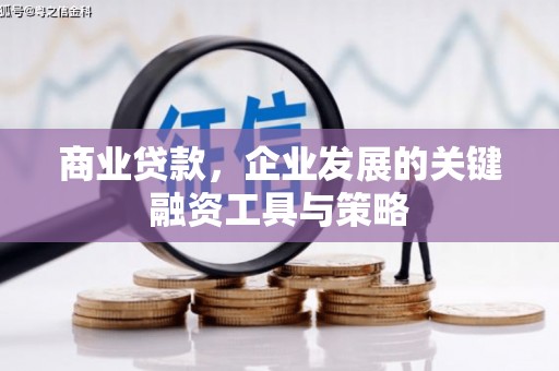海盐商业贷款，企业发展的关键融资工具与策略