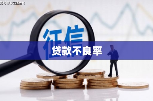 海盐贷款不良率