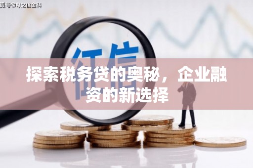 海盐探索税务贷的奥秘，企业融资的新选择