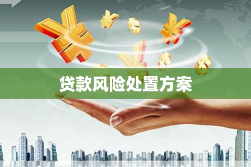 海盐贷款风险处置方案